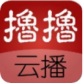 撸撸云播免费会员版