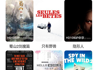 人人播放器破解版app合集