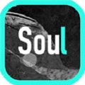 soul内部版