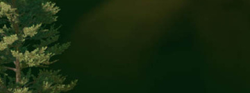 掘地求升版本手游合集