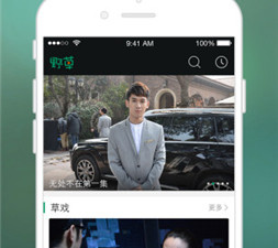 野草视频历史版本app合集
