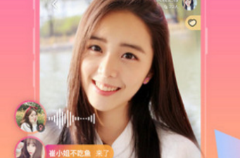 天鹅直播历史版本app合集