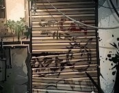 支持联机的生存手游合集