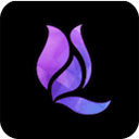 午夜兰花直播vip免费版