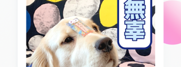 抖音短视频app合集