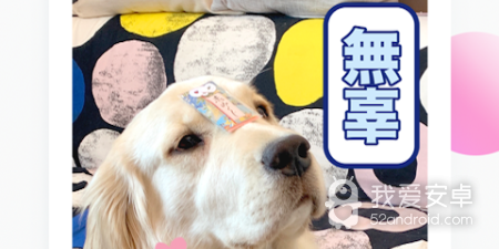 抖音短视频app合集