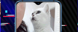 和蜜语交友类似的app合集