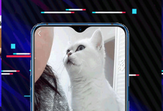 和蜜语交友类似的app合集