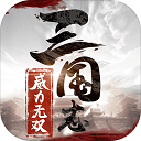 三国志威力无双逍遥津之战