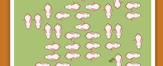 兔了个兔手游合集