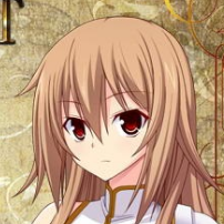 圣装女骑士爱丽丝作弊版