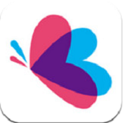 红娘直播无限观看版