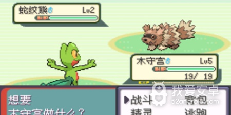 口袋妖怪叶绿386手游合集