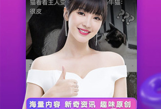 波波视频app合集