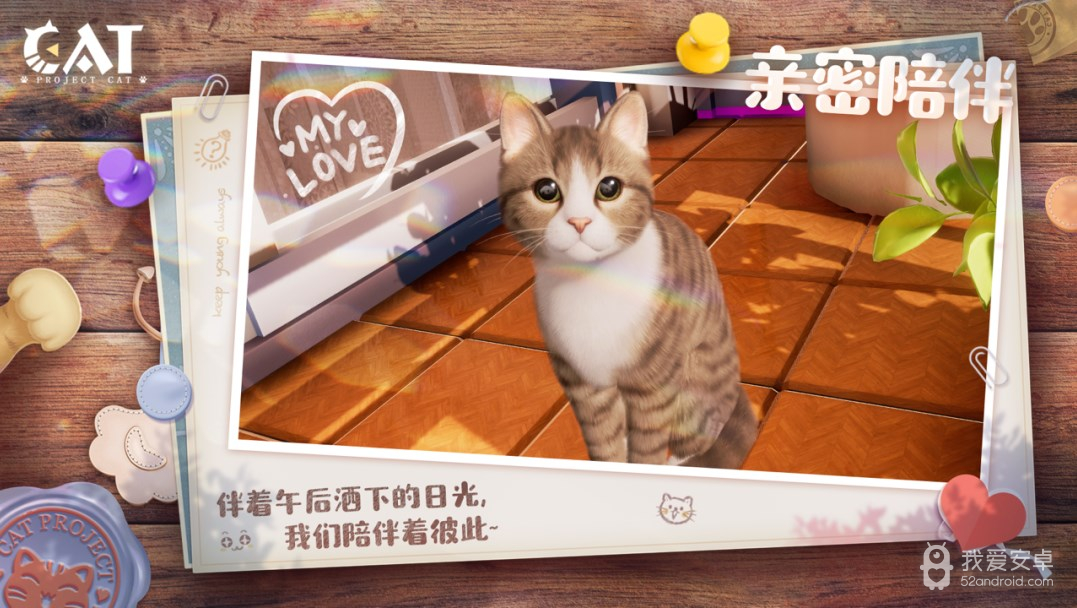 我和我的猫完整版