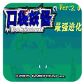 口袋妖怪最强进化nds版