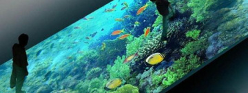 投影类软件合集