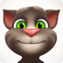 会说话的汤姆猫单机版