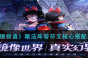 魔镜物语暗法阵容符文核心怎么搭配