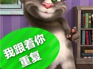 会说话的汤姆猫2超全版本手游合集