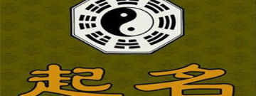 起名字软件合集