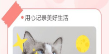 宠物养成策略