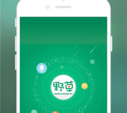万影网app合集