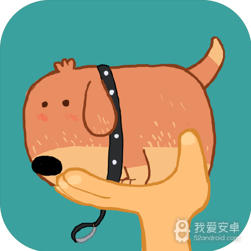宠物训养小课堂