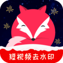 飞狐视频去水印去广告版