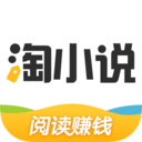 淘小说精简版