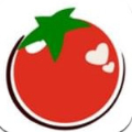 西红柿直播免登录版