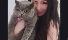 不要钱的交友社交app合集