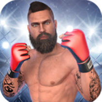 MMA格斗冲突 正式版