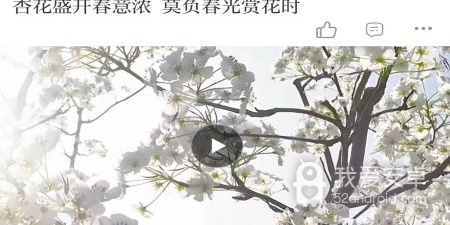 日报app合集