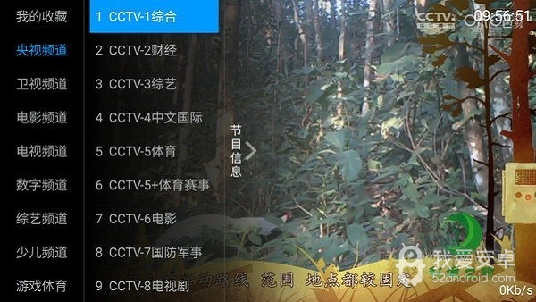 麦看直播tv版