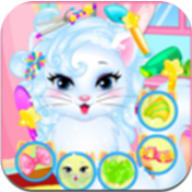 小猫咪美发沙龙