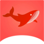 飞鱼影视免广告版