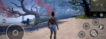 中国风吃鸡手游合集