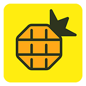 菠萝视频海外版