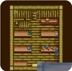 牧场物语少年版