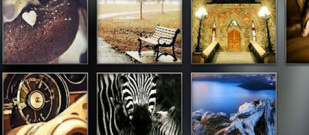 高自由度的3d黄油手游排行榜