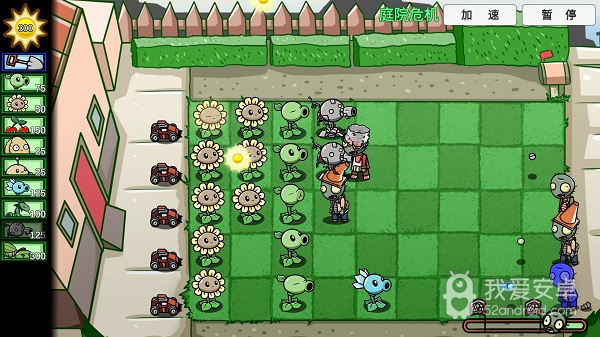 pvz_bt植物大战僵尸宇宙花