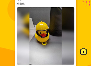 和脑电视频相似的app合集