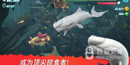 饥饿鲨进化版本手游合集