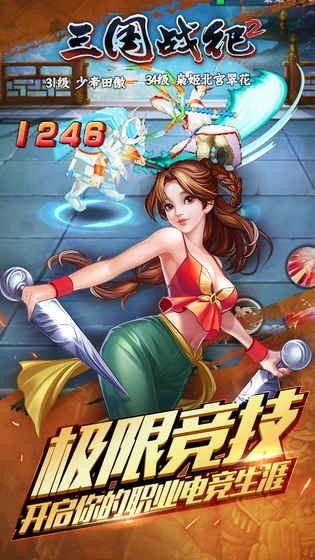 三国战纪2联机版