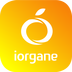 iorgane桔子水杯