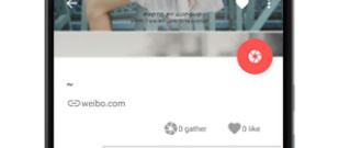 彼得老哥app合集