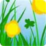 樱花草影院破解版