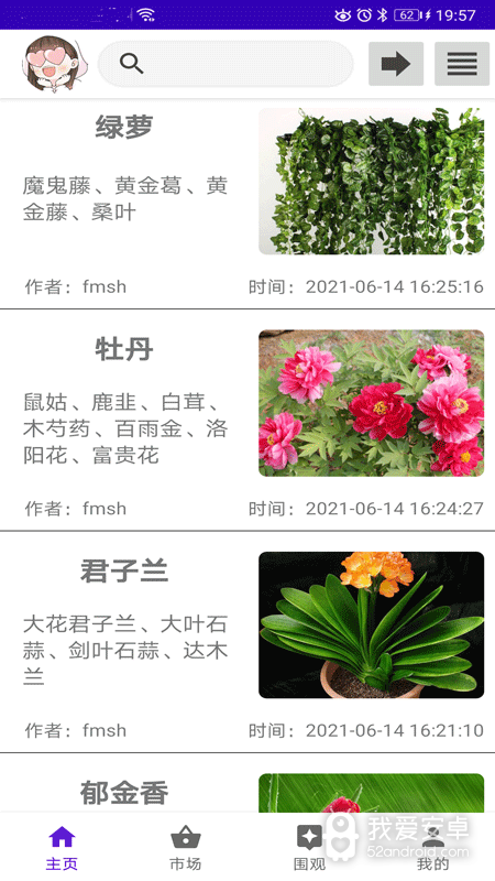 绿植花卉