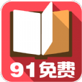 91小说免费版